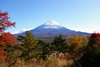 Mt. Fuji-Shizuoka Area Tourist Pass Mini 3 Days / Child