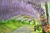Sanyo-San'in Northern Kyushu Pass 7 Days / Adult